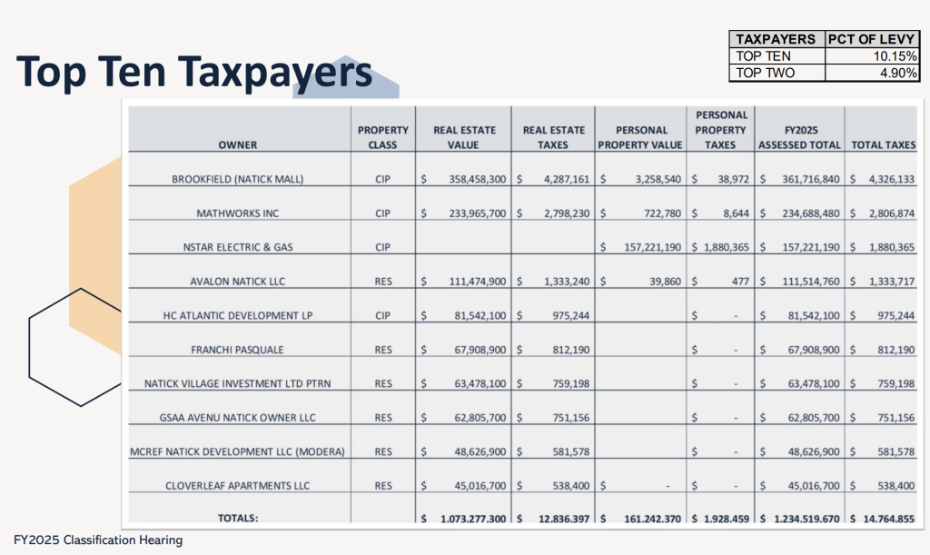 2024 top 10 taxpayers